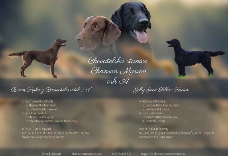 Vrh A Chanson Marron